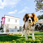 Gobene Gasthuis Alaçatı