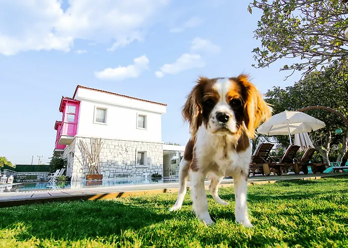 Gobene Penzion Alaçatı